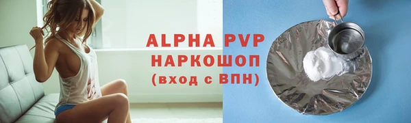 стафф Зеленокумск